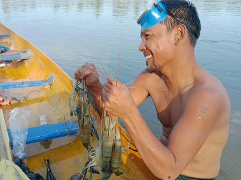 Warga berenang di Sungai Kuantan yang sudah jernih, Kamis (28/8/2025).