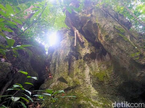 Gunung Putih di Kecamatan Tanjung Palas Tengah, Kabupaten Bulungan, Kalimantan Utara menjadi destinasi wisata favorit warga setempat. Dengan ketinggian 1.800 meter di atas permukaan laut (mdpl), gunung yang dominan warna putih ini bisa terlihat jelas dari Kecamatan Tanjung Selor, seolah menyapa para pengunjung yang datang ke Kabupaten Bulungan.