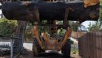 Dari Kayu Kebakaran Hutan Jadi Atap Penuh Harapan