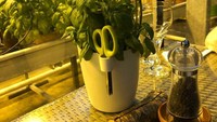 Setiap meja di restoran ini dilengkapi pot kecil tanaman basil. Pengunjung bisa langsung memetik daun segar untuk menambah rasa pada sup atau hidangan lainnya. Foto: Boredpanda