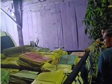 Pria Pembobol Kantor Dukcapil Mamasa-Gasak 1 Pikap Dokumen Diduga ODGJ
