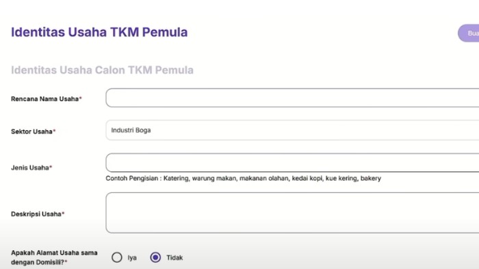 Pengisian deskripsi usaha pada pendaftaran TKM Pemula