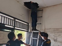 Damkar PALI Evakuasi Sarang Kelelawar di Plafon SDN 3 Tanah Abang
