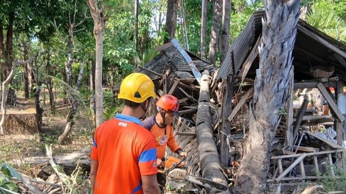 BPBD Karangasem saat melakukan penanganan pohon tumbang menimpa gudang di wilayah Labasari, Kecamatan Abang, Sabtu (30/8/2025).