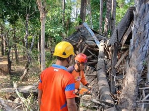 Pohon Tumbang Timpa Rumah di Karangasem, Warga Luka di Kepala