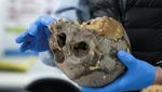 DNA Purba Ungkap Garis Keturunan Manusia Misterius di Kolombia