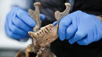Dr. Andrea Casas dari Institut Genetika Universitas Nasional Kolombia menjelaskan proses pengurutan DNA yang membuka misteri garis keturunan baru. Foto: REUTERS/Nathalia Angarita