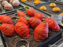 Menjelajah Pulau Jeju Bareng Galaxy Z Flip 7