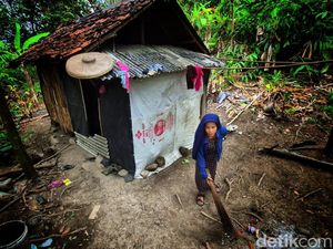 Kisah Iis, Buruh Penyadap Karet Hidup di Gubuk Gelap Demi 2 Anak