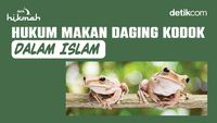 Hukum Makan Daging Kodok dalam Islam