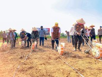 Dukung Ketahanan Pangan, Pemkab-Polres Tanam Jagung di Ponpes Banyuasin