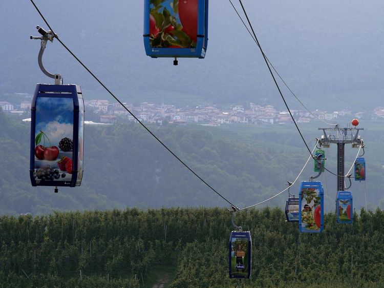 Kereta Gantung Apel Dolomites Jadi Ikon Baru Pertanian Ramah Lingkungan Italia