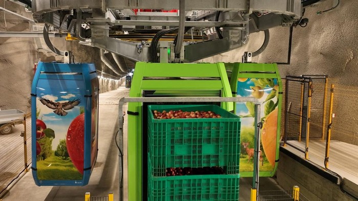 Kereta Gantung Apel Dolomites Jadi Ikon Baru Pertanian Ramah Lingkungan Italia A cable car system transports apples down the hills and into storage in caves below in Segno, near Trento, Italy August 26, 2025. Melinda/Martina Valentini via REUTERS ATTENTION EDITORS - THIS IMAGE WAS PROVIDED BY A THIRD PARTY. NO RESALES. NO ARCHIVE.