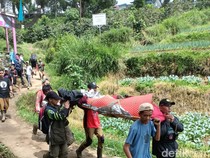 Pendaki Tewas di Gunung Pangrango, Sempat Pingsan di Tenda