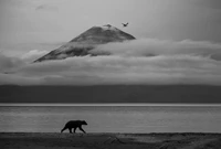 Wildlife Photographer of the Year 2025