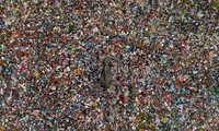 Wildlife Photographer of the Year 2025