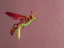 Karya Finalis Kontes Foto Satwa Liar yang Bikin Kagum dan Terenyuh