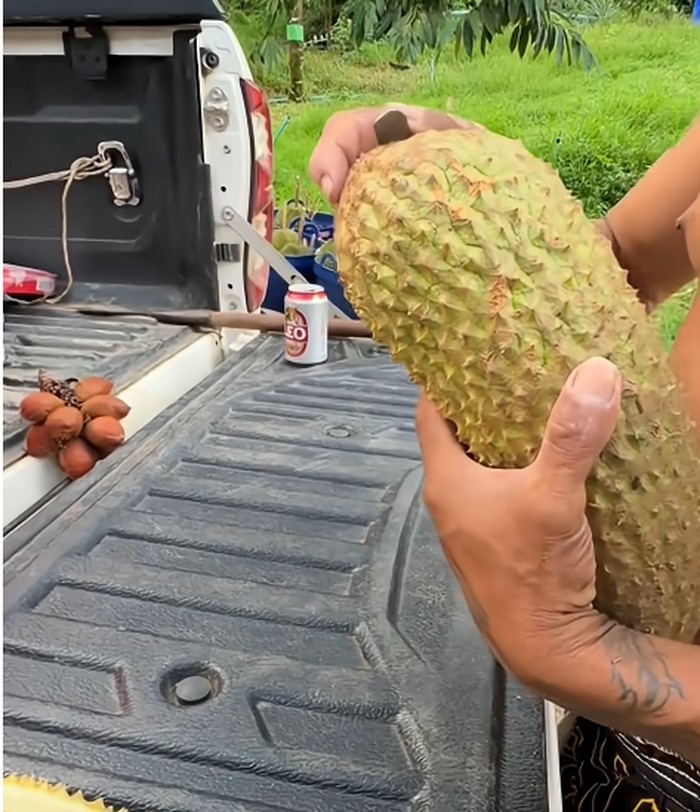 Durian unik Durian unik