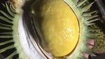 Unik! 10 Jenis Durian Ini Bentuk dan Daging Buahnya Berbeda