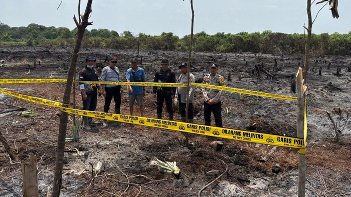 Lahan seluas 2 hektare di Indragiri Hilir tebakar, seorang pelaku ditangkap.