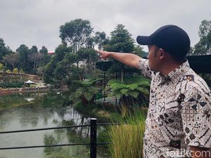 Perburuan Macan Tutul yang Kabur di Lembang Park & Zoo Belum Berbuah Hasil