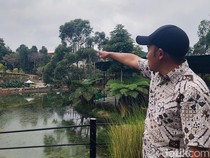 Jejak Macan Tutul Kabur di Lembang Menuju Hutan Gunung Tangkuban Parahu