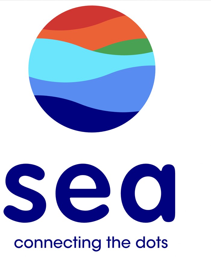 Sea Ltd