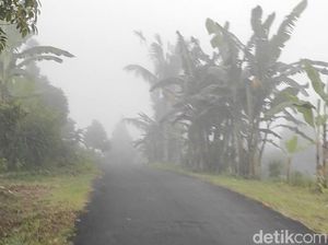 Menyusuri Munduk Duk Badung, Kampung Kebun yang Gelap Tanpa Listrik