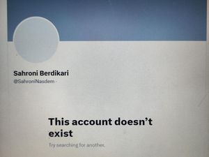 Drama Akun Sahroni Berdikari: Terbongkar Lalu Menghilang dari X