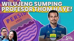 Video: Gabung di Persib, Thom Haye Siap Berkarir di Liga Indonesia