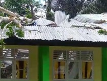Pohon Tumbang Timpa 2 Kelas SMP di Gorontalo, 2 Siswa Luka