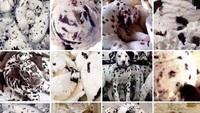 Anjing jenis Chihuahua juga tak kalah lucu. Kalau dilihat sekilas, Chihuahua berbulu cokelat dengan mata dan hidung berwarna hitam mirip seperti blueberry muffin. Foto: ranker.com