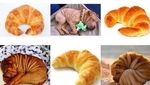 Gemas! 10 Potret Hewan Menyerupai Makanan, Ada Cokelat dan Ayam Goreng