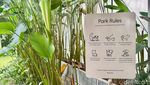 Kafe Pet Friendly di Bogor Ini Punya Es Krim Wasabi dan Pancake Miso