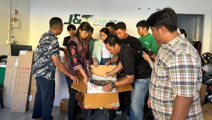 Keterangan Foto:
-Subdit I Ditreskrimsus Polda Kepri menggagalkan penyelundupan 21,8 kilogram sisik trenggiling di Batam (dok Ditreskrimsus)