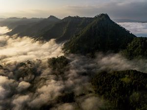 Menjaga Warisan Bumi di Kota Walet