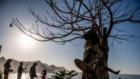 Dari pesisir, perjalanan membawa kita masuk ke dalam perut bumi. Goa Petruk menyuguhkan keheningan dan kegelapan yang sarat cerita. Stalaktit dan stalagmitnya tumbuh setetes demi setetes, mencatat proses geologis yang berlangsung dalam sunyi selama ribuan tahun. Goa ini bukan sekadar objek wisata alam, tetapi juga ruang belajar yang mengajarkan kesabaran bumi dalam membentuk dirinya. ANTARA FOTO/Aprillio Akbar