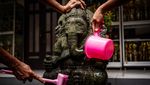 Menjaga Warisan Bumi di Kota Walet