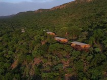 Unik! Safari Mewah di Afrika Selatan, Bayar Sukarela