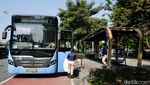 Transjakarta Tetap Angkut Penumpang dari Halte yang Terbakar