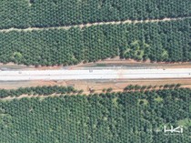 Pakai Teknologi Terkini, Begini Progres Tol Palembang-Betung Seksi 3
