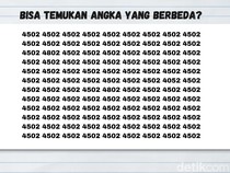 Tes Kejelian Mata, Bisa Menemukan Angka yang Berbeda?