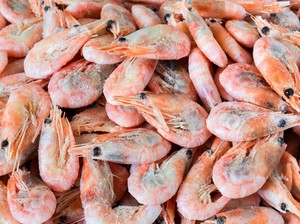 Empat Laboratorium Indonesia Lolos Persetujuan FDA untuk Uji Cs-137 pada Udang