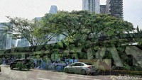Lapisan dedaunan menimpa foto halte hangus dalam teknik double exposure, kontras antara kehancuran dan kehidupan.  