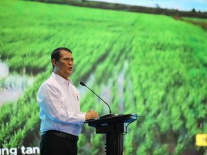 BPS: Kesejahteraan Petani Meningkat Bulan Agustus 2025