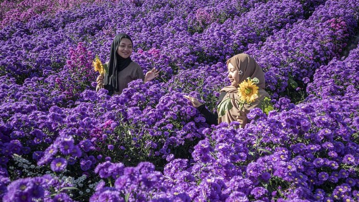 Liburan ke Jabar Makin Hits, Wisatawan Nusantara Melonjak Tajam Wisatawan berfoto di area kebun bunga di Bukit Strawberry Lembang, Kabupaten Bandung Barat, Jawa Barat, Selasa (2/9/2025). Badan Pusat Statistik (BPS) mencatat jumlah perjalanan wisatawan nusantara (wisnus) ke Jawa Barat pada periode Januari-Juli 2025 mencapai 124,86 juta perjalanan atau meningkat 31,30 persen dibandingkan periode yang sama pada tahun lalu yang hanya mencapai 95,10 juta perjalanan. ANTARA FOTO/Abdan Syakura