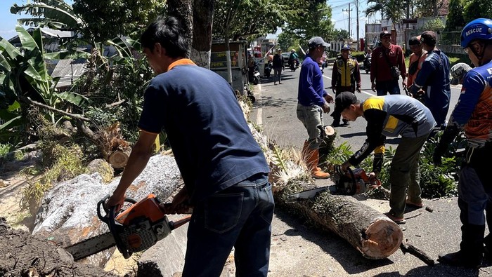 Rumah warga rusak, 5 pohon tumbang akibat angin kencang di Mojokerto.