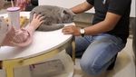 Sherina Munaf Update Keberadaan Kucing-kucing Uya Kuya yang Dijarah