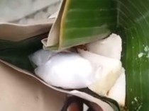 Viral Driver Ojol Dapat Paket Lontong Berisi Narkoba di Medan, Polisi Selidiki