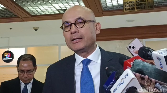 Wamenlu Armanatha Nasir (Anggi/detikcom)